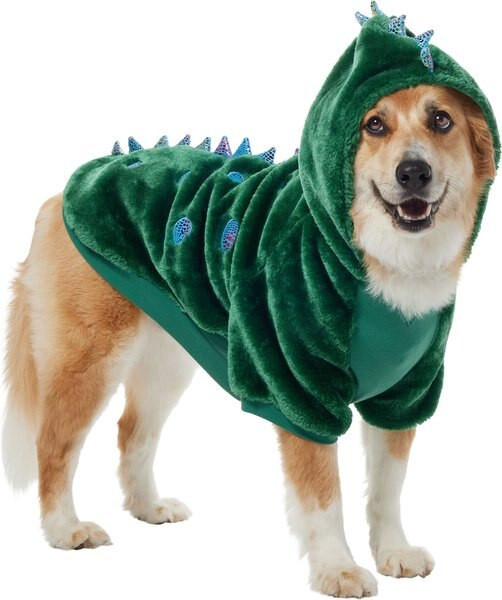 Frisco Cozy Dinosaur Dog & Cat Hoodie | Chewy.com