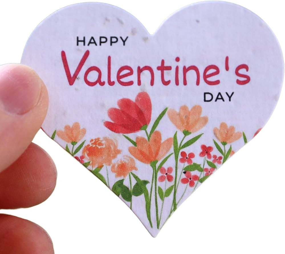 Kids Valentines Day Gifts for School 24 Pack Wildflower Seed Paper Hearts for Classroom Valentine... | Amazon (US)