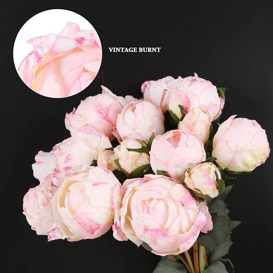 Pink Peonies Artificial Flowers 2 Bouquets Vintage Peonies 18pcs Pink Peonies with Single Long St... | Amazon (US)