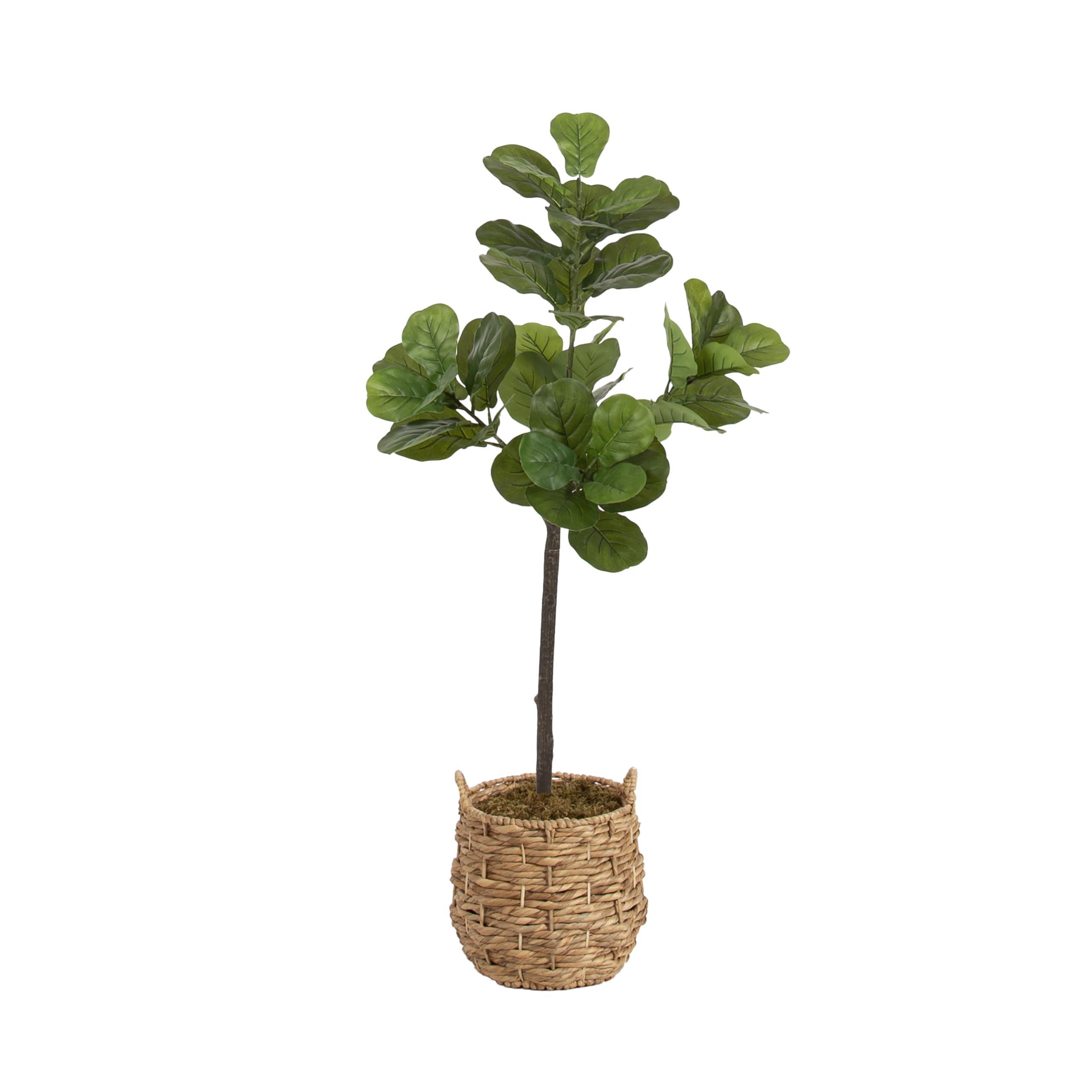 Kate and Laurel Fidmont Faux Fiddle Fig Tree with Livia Woven Basket, 4 FT, Natural Water Hyacint... | Amazon (US)