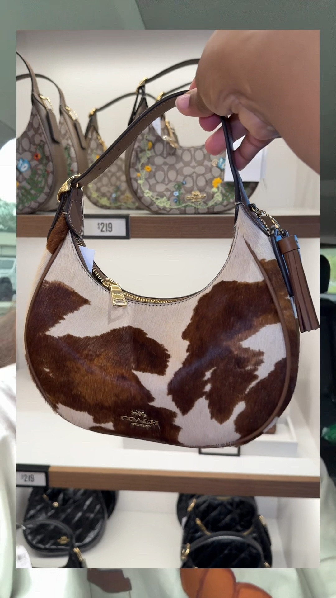 Okay… I might’ve lied earlier 😅

I went back and saw the new Coach drop in person and ended up falling in love with the yellow & brown Klara bag — I had to bring her home. 💛🤎

Seeing the collection up close definitely changed my mind… some of the new pieces are actually really cute.

#LTKStyle #CoachKlara #CoachBag #CoachFinds #DesignerStyle #BagOfTheDay #LuxuryStyle #SpringAccessories #CoachNewArrivals