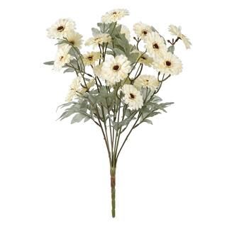 Cream Mini Zinnia Bush by Ashland® | Michaels Stores