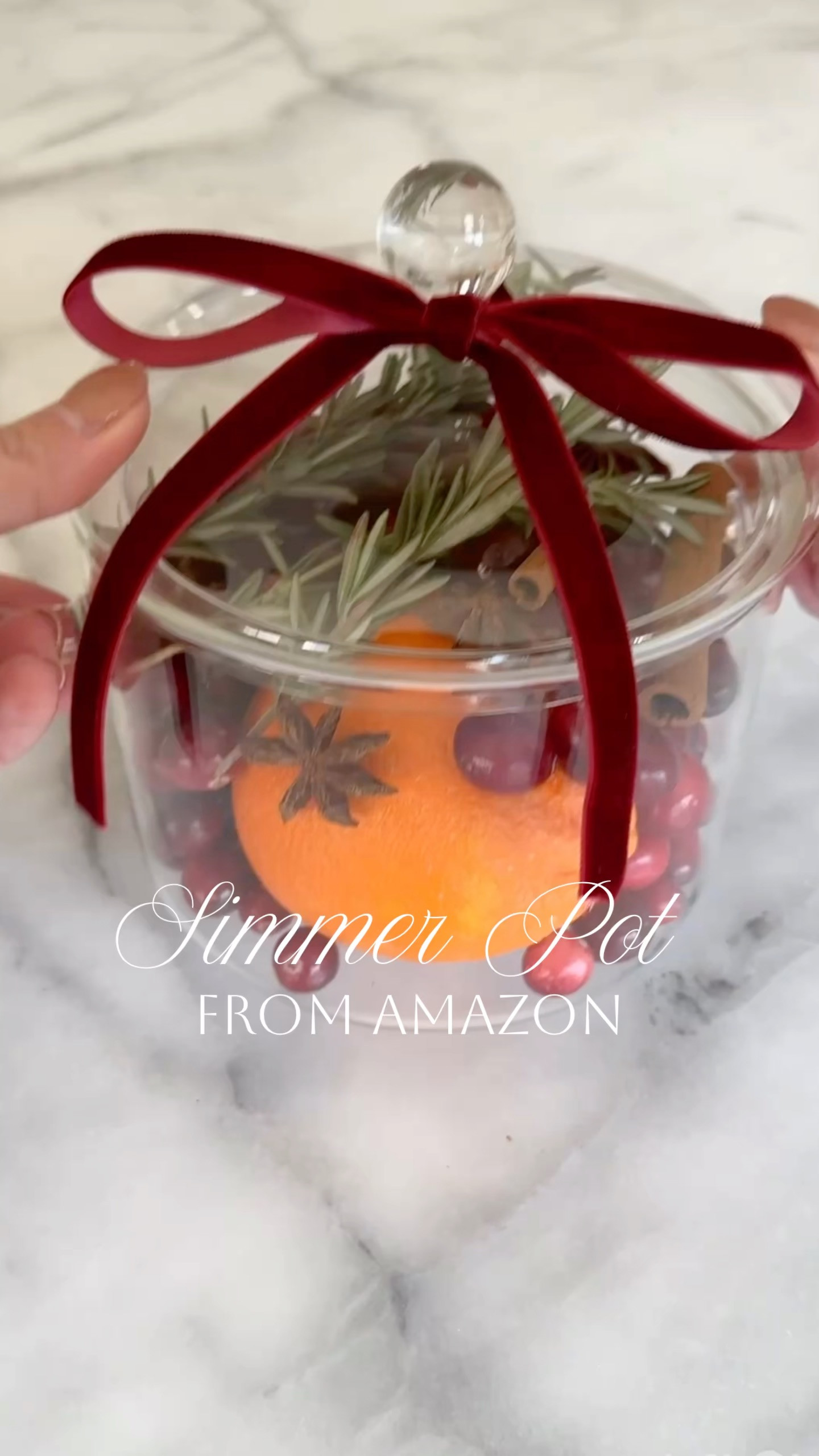 This simmer pot is the perfect gift for your holiday hosts - or yourself!

amazon, Christmas, hosting, gift idea 

 #LTKGiftGuide #LTKHoliday #LTKHome