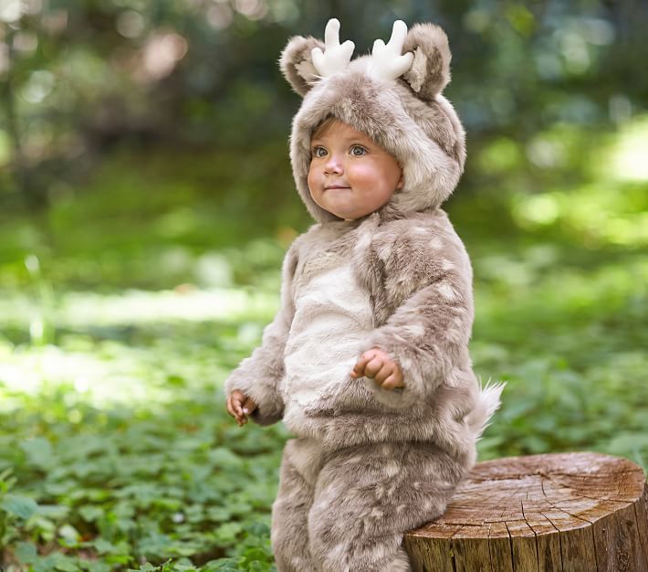Baby Deer Woodland Halloween Costume


 | Pottery Barn (US)