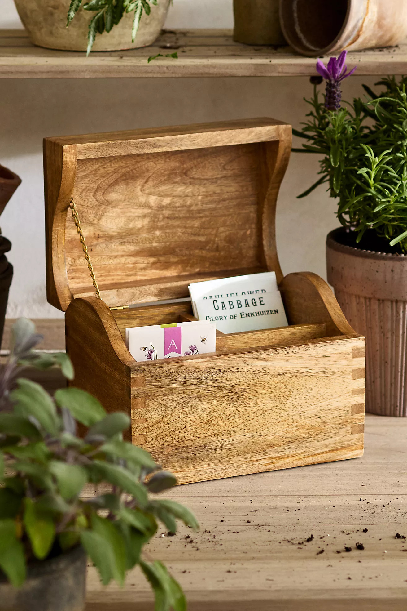 Terrain Seed Storage Box | Anthropologie (US)