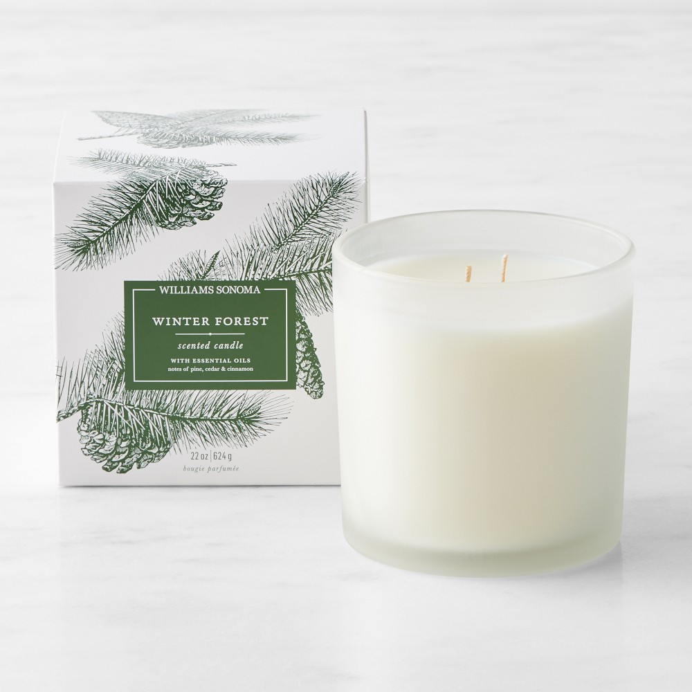 Williams Sonoma Winter Forest Candle, Large | Williams-Sonoma