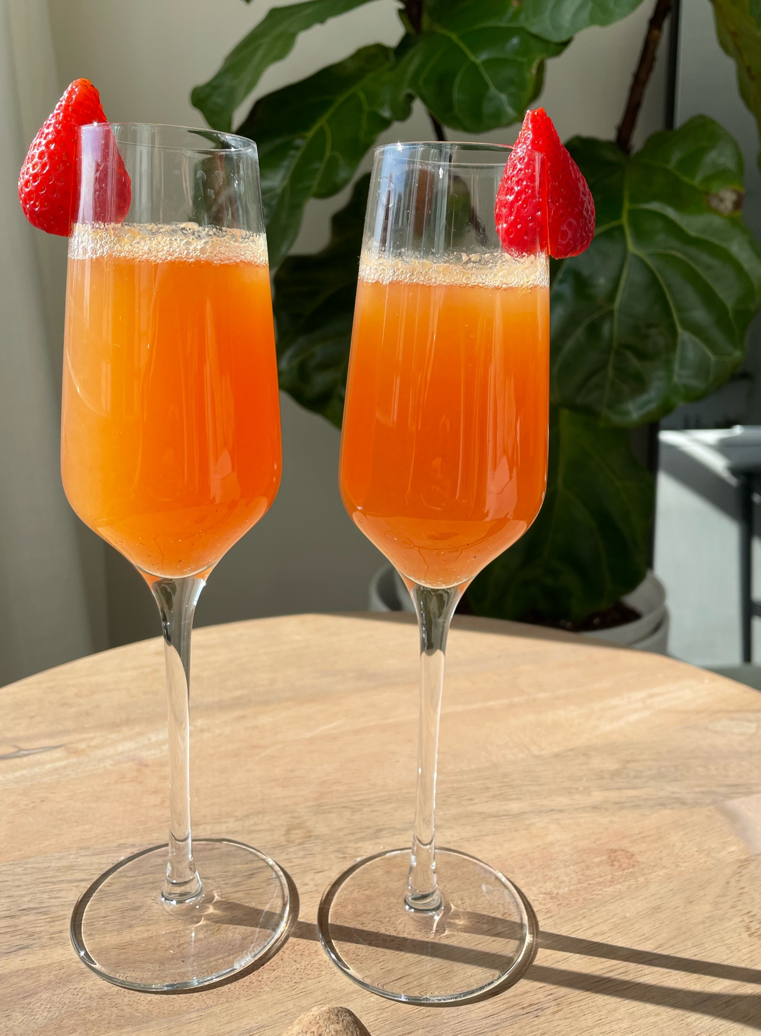 Valentine’s Day Strawberry Rosé Mocktail!

Grab someone you love and let's make an easy Valentine's Day mocktail!

This drink is a must-have whether you're hosting a fabulous Galentine’s brunch, planning a cozy date night, or simply treating yourself to something special. #mocktails #mocktailrecipe #glassware

#LTKHome #LTKSeasonal