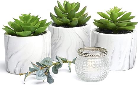 Kurrajong Farmhouse Artificial Succulent Plants in pots | Mini Fake Plant for Shelves | Artificia... | Amazon (US)