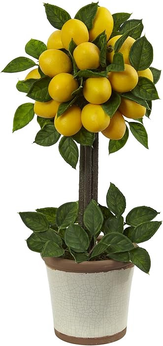 Nearly Natural Lemon Ball Topiary Arrangement, 19.5'' x 8.5'' x 8.75'' | Amazon (US)