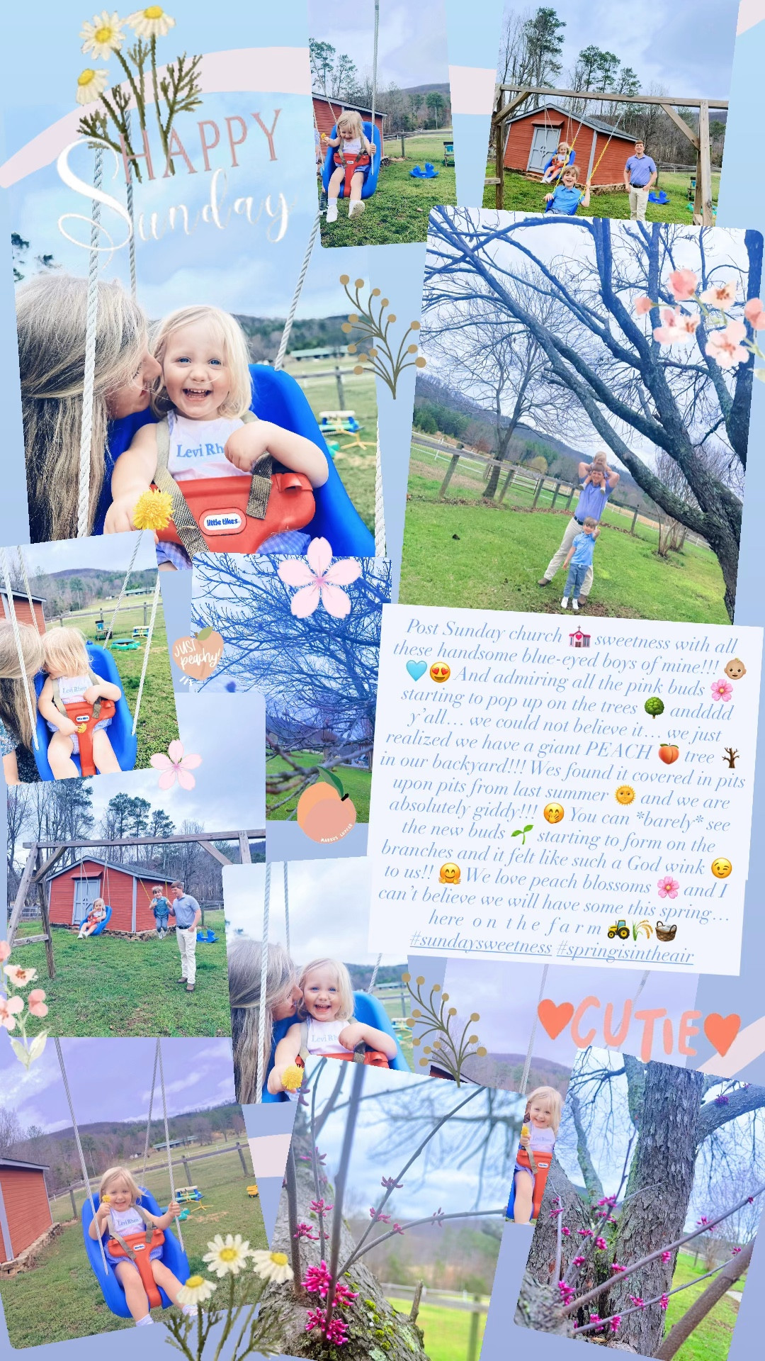Post Sunday church 💒 sweetness with all these handsome blue-eyed boys of mine!!! 👶🏼🩵😍 And admiring all the pink buds 🌸 starting to pop up on the trees 🌳 andddd y’all… we could not believe it… we just realized we have a giant PEACH 🍑 tree 🪾 in our backyard!!! Wes found it covered in pits upon pits from last summer 🌞 and we are absolutely giddy!!! 🤭 You can *barely* see the new buds 🌱 starting to form on the branches and it felt like such a God wink 😉 to us!! 🤗 We love peach blossoms 🌸 and I can’t believe we will have some this spring… here  o n  t h e  f a r m 🚜🌾🧺 #sundaysweetness #springisintheair 