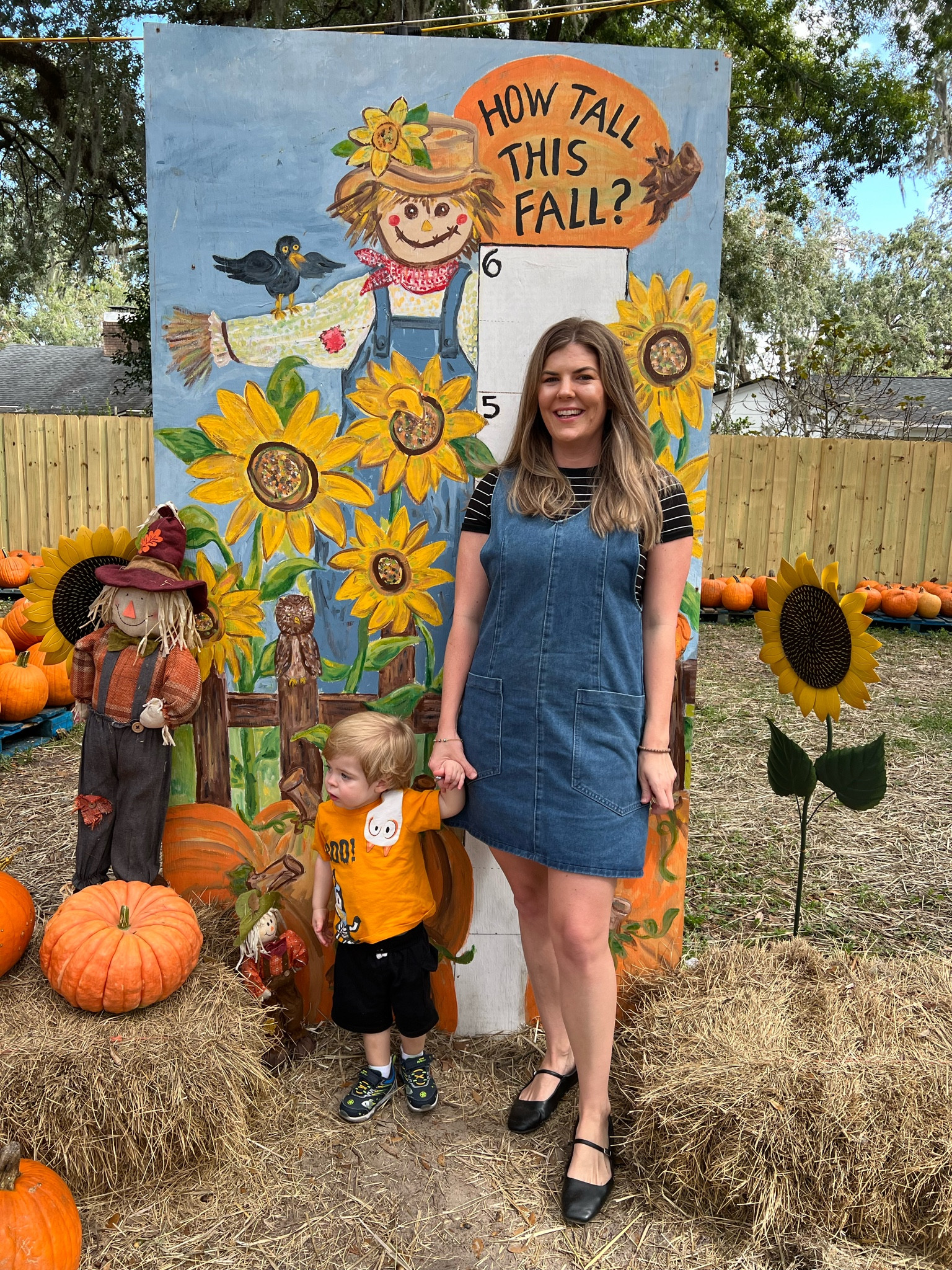 Fall dress 