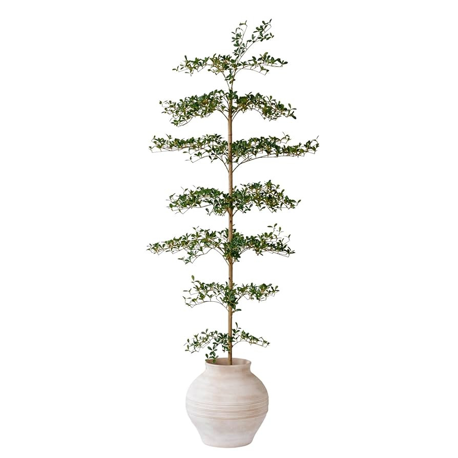 Black Olive Tree Artificial 7 Feet Tall, Artificial Shady Lady Tree, Faux Decorative Tree | Amazon (US)