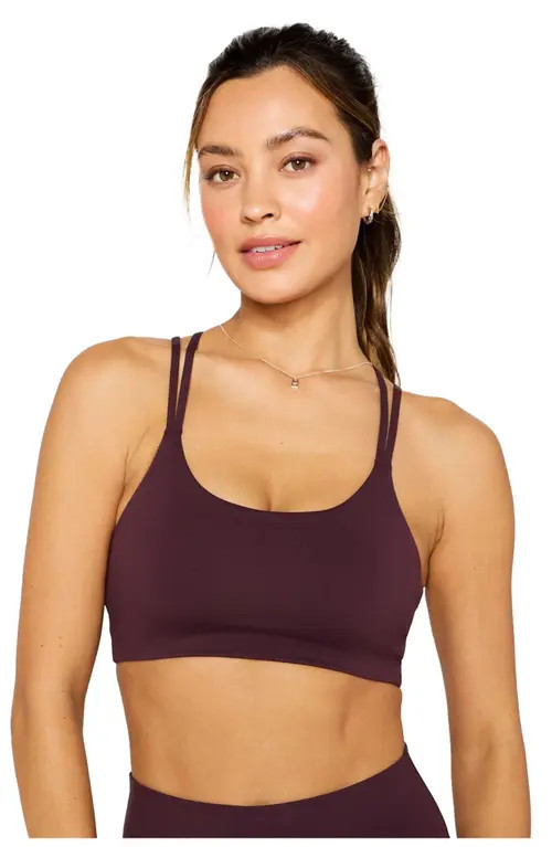 Fabletics Women's Principal Low Impact Bra in Oxblood at Nordstrom, Size Large | Nordstrom