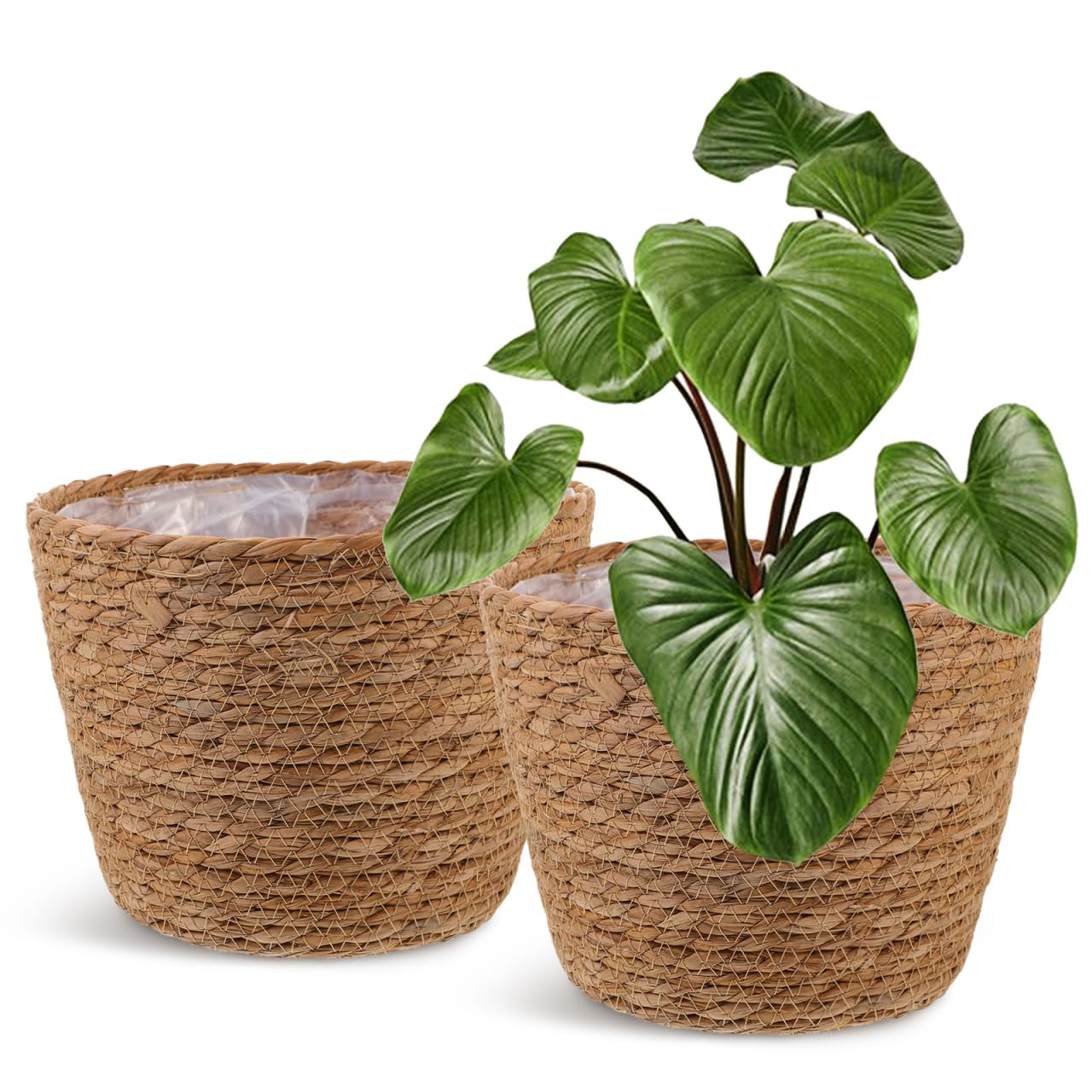 Healifty Straw Woven Plant Basket 2PCS Rattan Flower Basket Indoor with Plastic Liner Natural Sty... | Amazon (US)