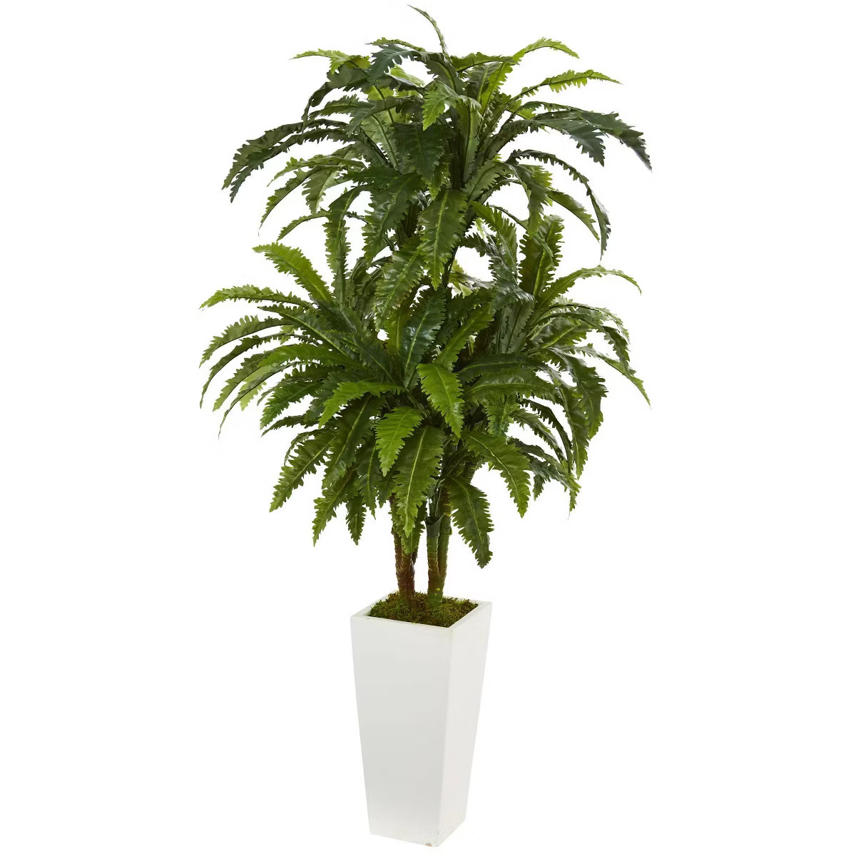 50" x 32" Artificial Marginatum Plant in Vase White - Nearly Natural: Indoor Faux Floor Plant | Target