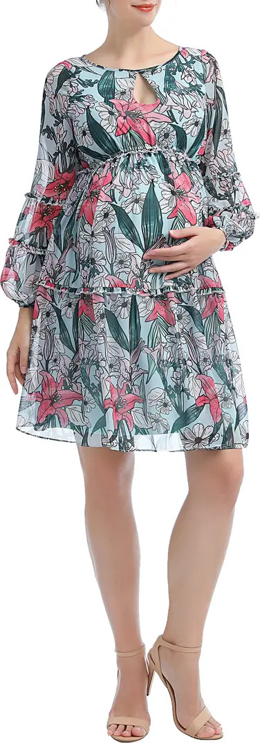 Nia Floral Long Sleeve Maternity Babydoll Dress | Nordstrom