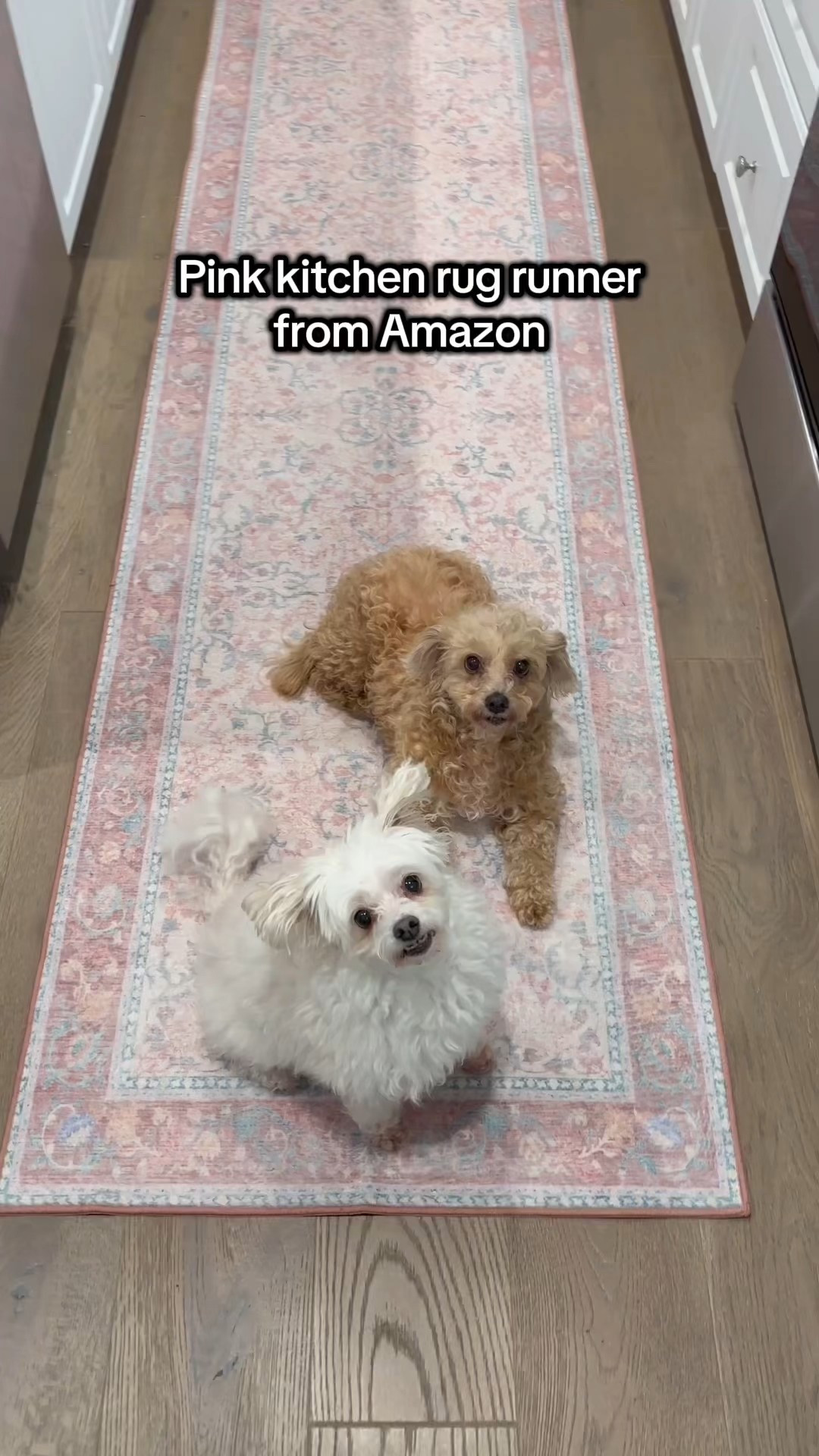 Pink kitchen rug runner from Amazon is so soft on your feet, looks great and is machine washable. Yay!!! 

Comes in lots of other sizes too. Well priced and while thin, it’s easy to wash and well made. 

Definitely purchase a gripper to put under it, I’ve linked a few here for ease. #LTKFindsUnder50

#LTKHome