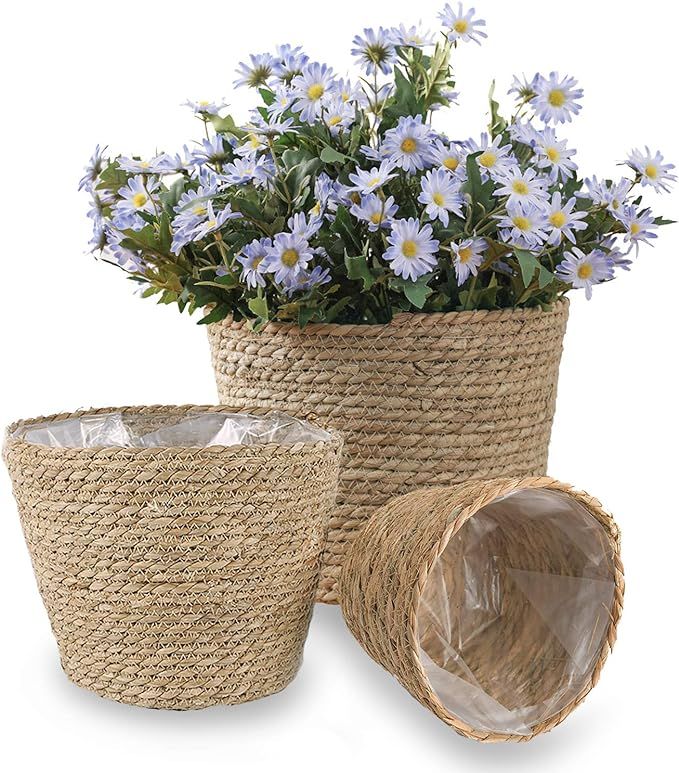 DeeCoo Pack of 3 Handmade Seagrass Planter Basket Indoor Outdoor Flower Pots,Plant Containers, Pl... | Amazon (US)