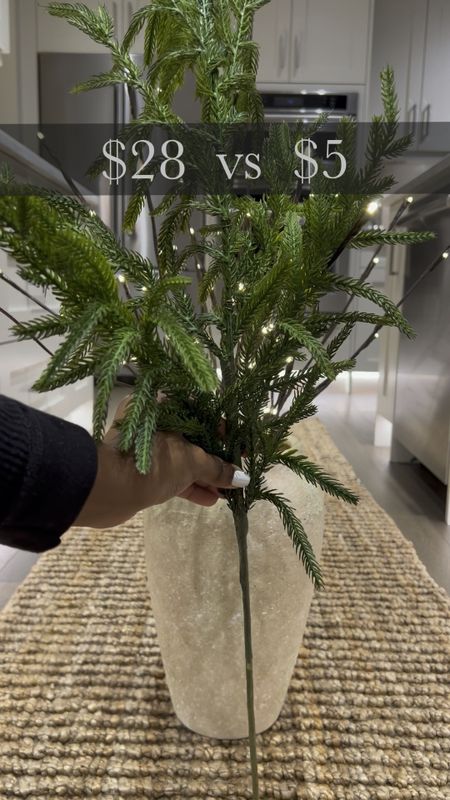 Amazon for the win again! 🎉 Everyone loves the Norfolk Pine Stems and now you can save a whole lot with these new stems from Amazon. They are incredibly soft and they come in a bunch of 12 at 5 bucks a stem vs $28! 🥳


#LTKSeasonal #LTKstyletip #LTKhome