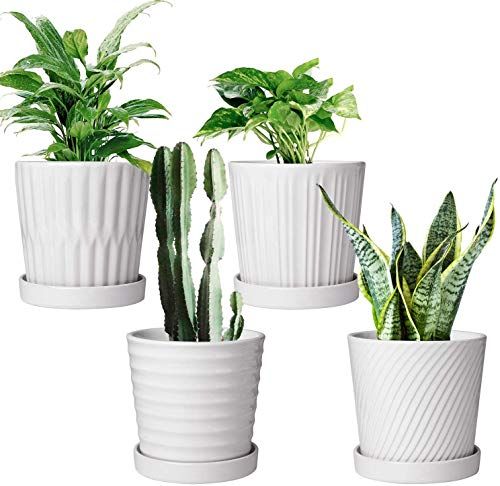 Set Of 4- 6 Inch White Round Flower Pots | Amazon (US)