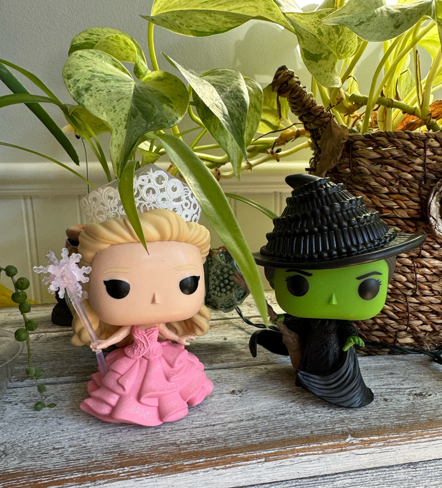 Wicked Funko Pops for Wicked Week! 

#LTKHome #LTKSeasonal