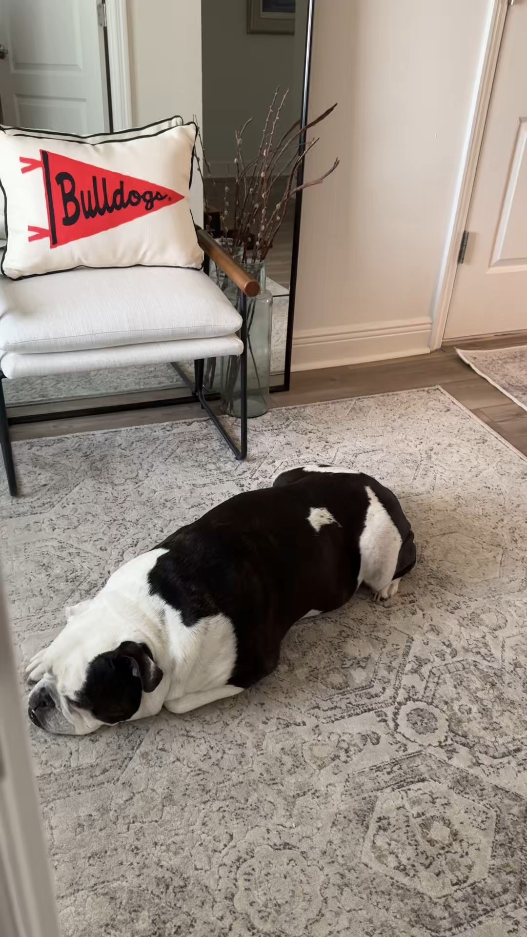 While everyone’s decking out pumpkins and Halloween decor, this University of Georgia alum is all about college game day and NFL Sundays. 🏈
I was so excited to find this cute family owned business hat makes custom (American made) pillows and had to grab one. They have them for all the college teams and they have other custom options too!
Who else is team football over team pumpkin? 🙋‍♀️ #FootballDecor #GoDawgs #NFLReady

#LTKSeasonal #LTKHome