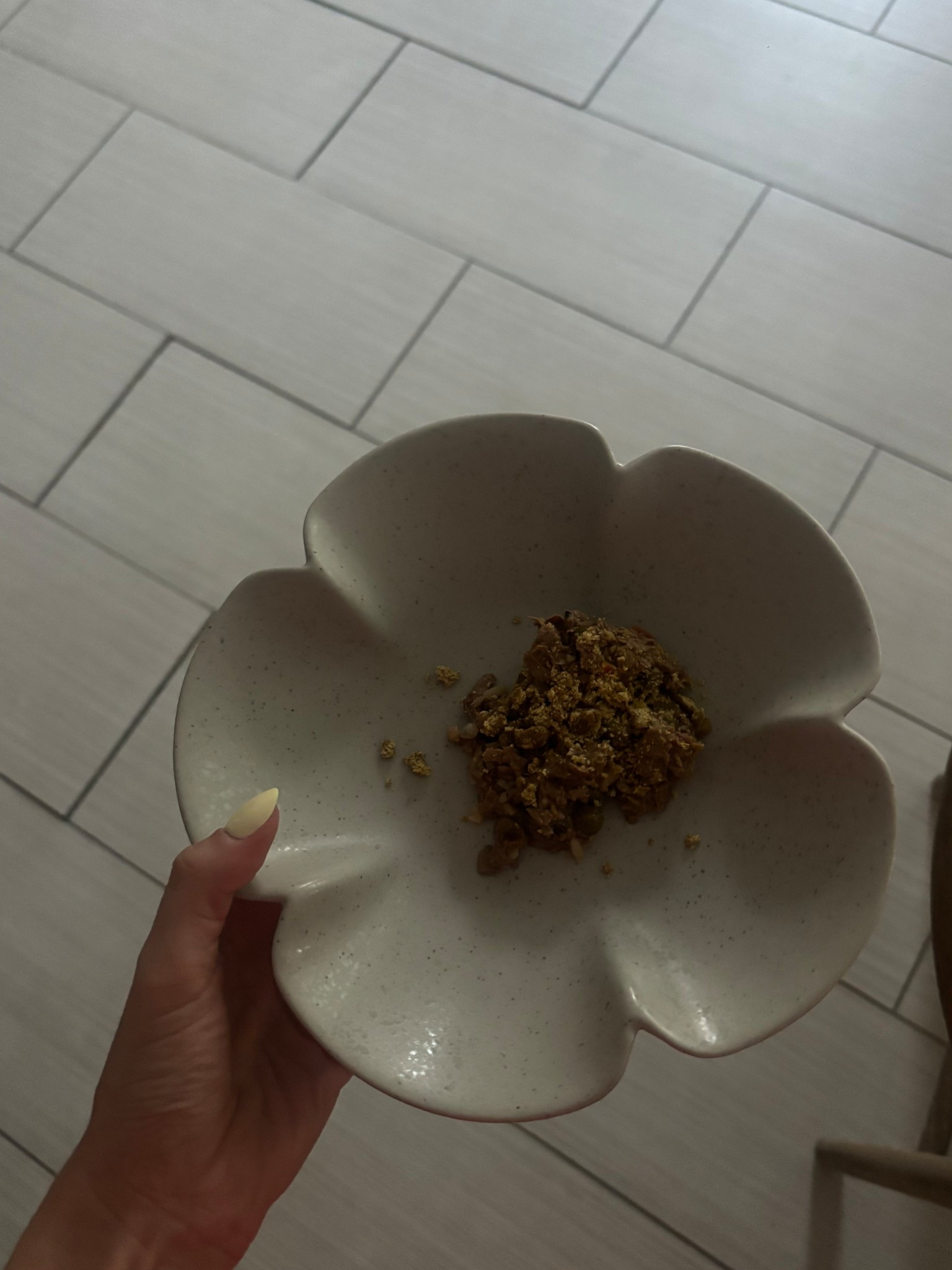 Lolli’s new dog food bowl🌸

#LTKHome #LTKFindsUnder50 #LTKPets