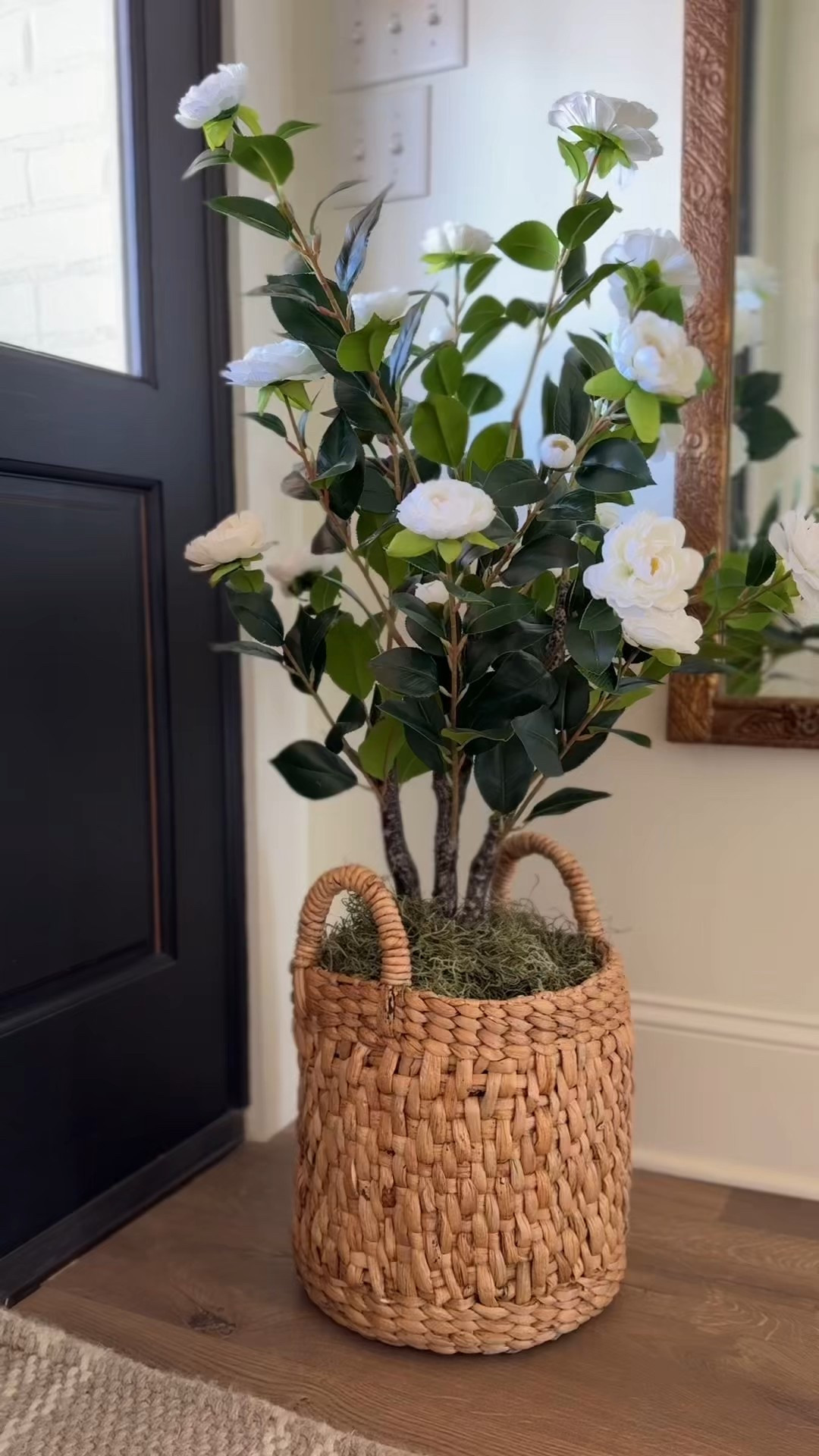 She’s back! Our artificial camellia tree with white blooms is finally restocked on Amazon. So pretty and timeless—perfect for the front porch, entryway, or even indoors for a fresh spring touch. No watering required!

#LTKFindsUnder100 #LTKHome #LTKSeasonal