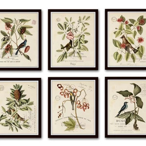 Vintage Botanical Sketch Prints Set No. 2 Botanical Prints | Etsy | Etsy (US)