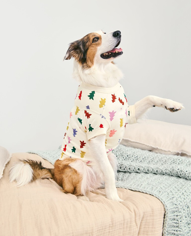 Holiday Dog Pajamas | Hanna Andersson