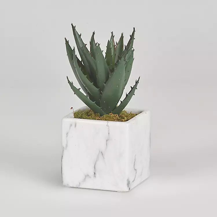 Mini Aloe Plant in White Marble Ceramic Cube | Kirkland's Home