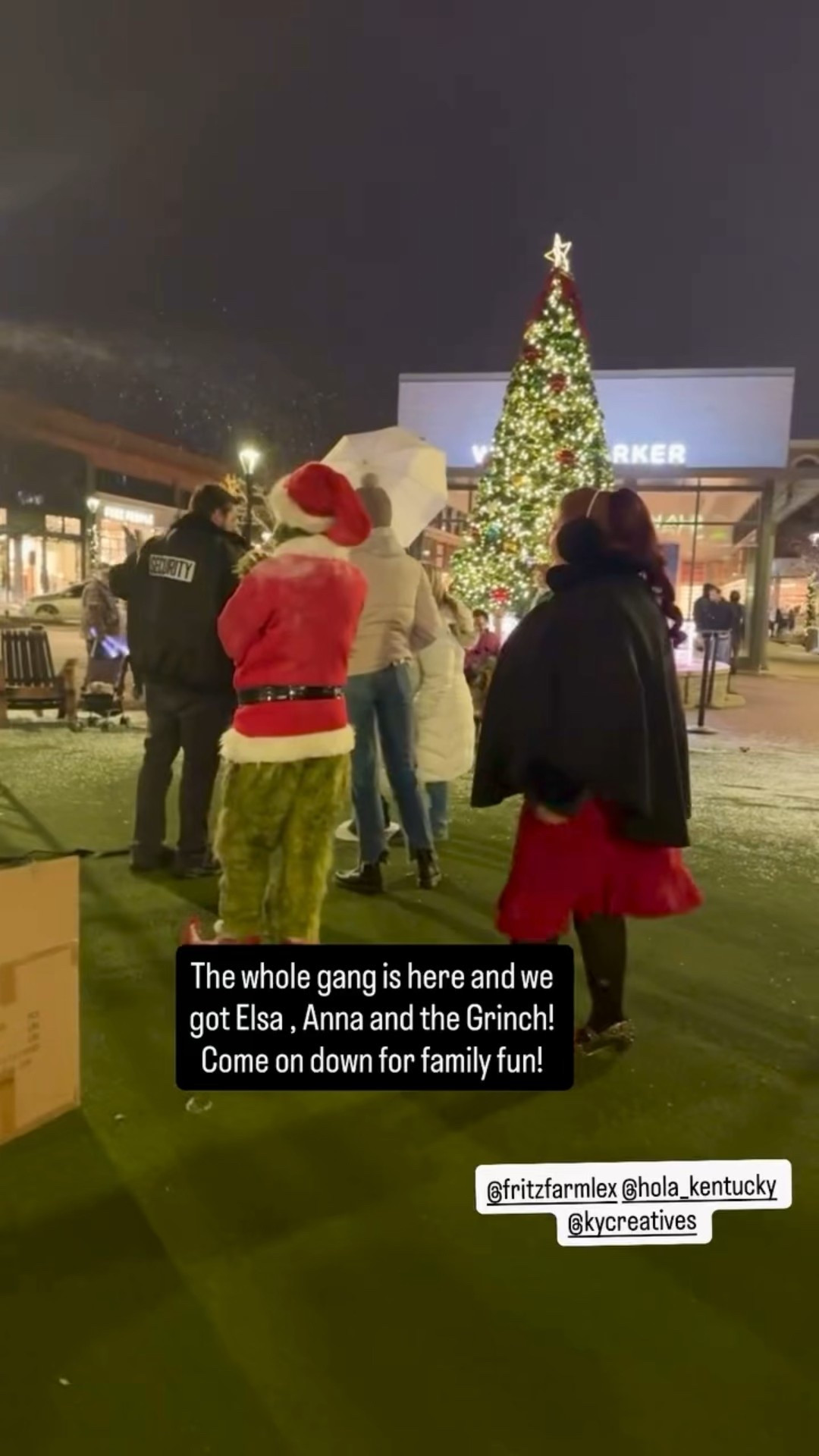 Friday Flurries @fritzfarmlex where I bumped into the Grinch! 

#LTKstorytime #LTKdayinmylife #LTKHoliday
