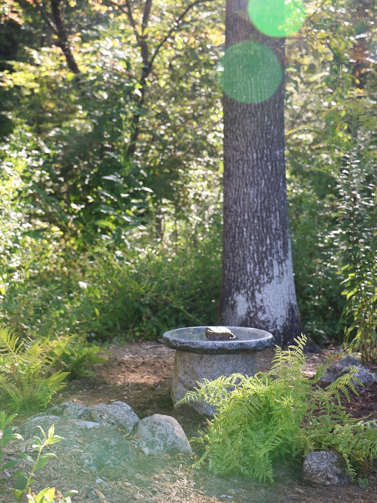 Granite bird bath

#LTKHome