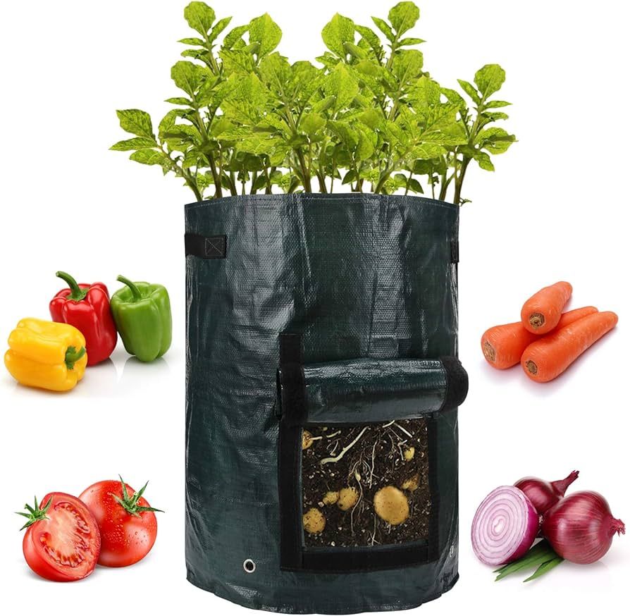 ANPHSIN 4 Pack 10 Gallon Garden Potato Grow Bags with Flap and Handles Aeration Fabric Pots Heavy... | Amazon (US)