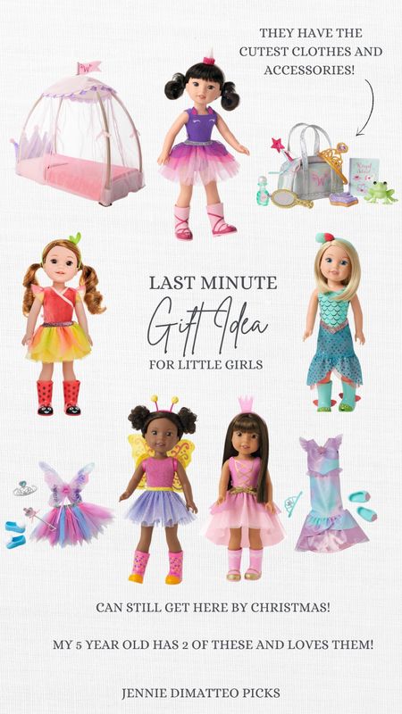 Amazon, American girl, wellie wishers, dolls, doll clothes, doll bed, gift idea, gift guide 

#LTKGiftGuide #LTKHoliday #LTKSeasonal