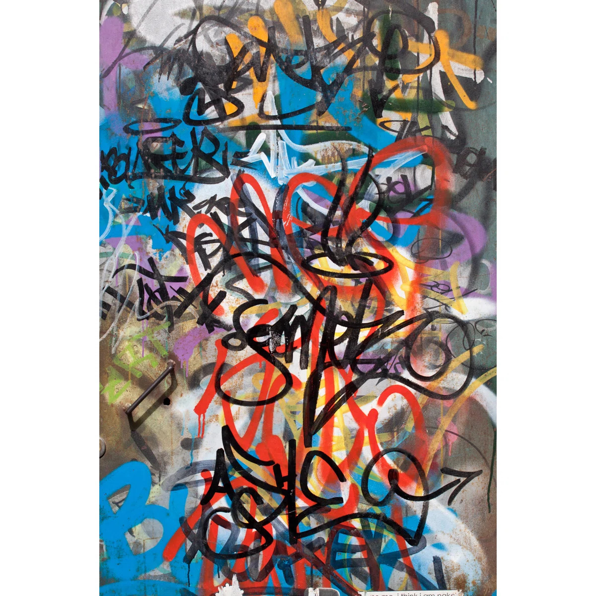 Opie " Graffiti " by Deepblueproductions Painting Print | Wayfair North America