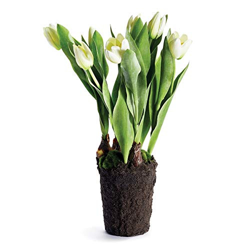 Napa Home & Garden Tulip Drop-in 22" White | Amazon (US)