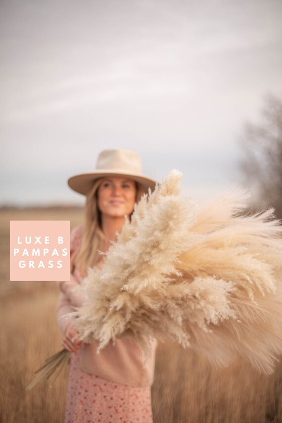 PAMPAS GRASS - TYPE 6 Natural Large Fluffy Pampas by Luxe B Pampas Grass | Etsy (US)