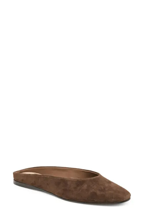 Dolce Vita Eila Mule in Dark Brown Suede at Nordstrom, Size 7 | Nordstrom