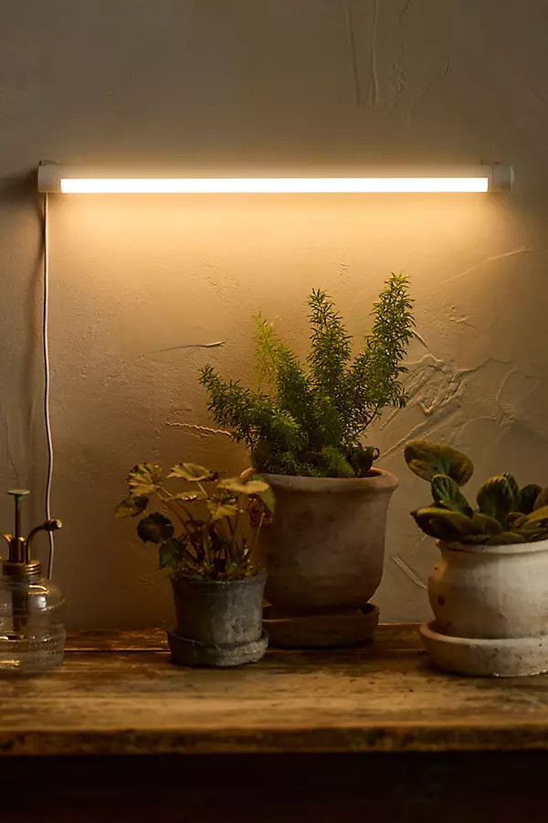 Soltech LED Bar Grow Light in White, Size: 18" at Terrain | Terrain