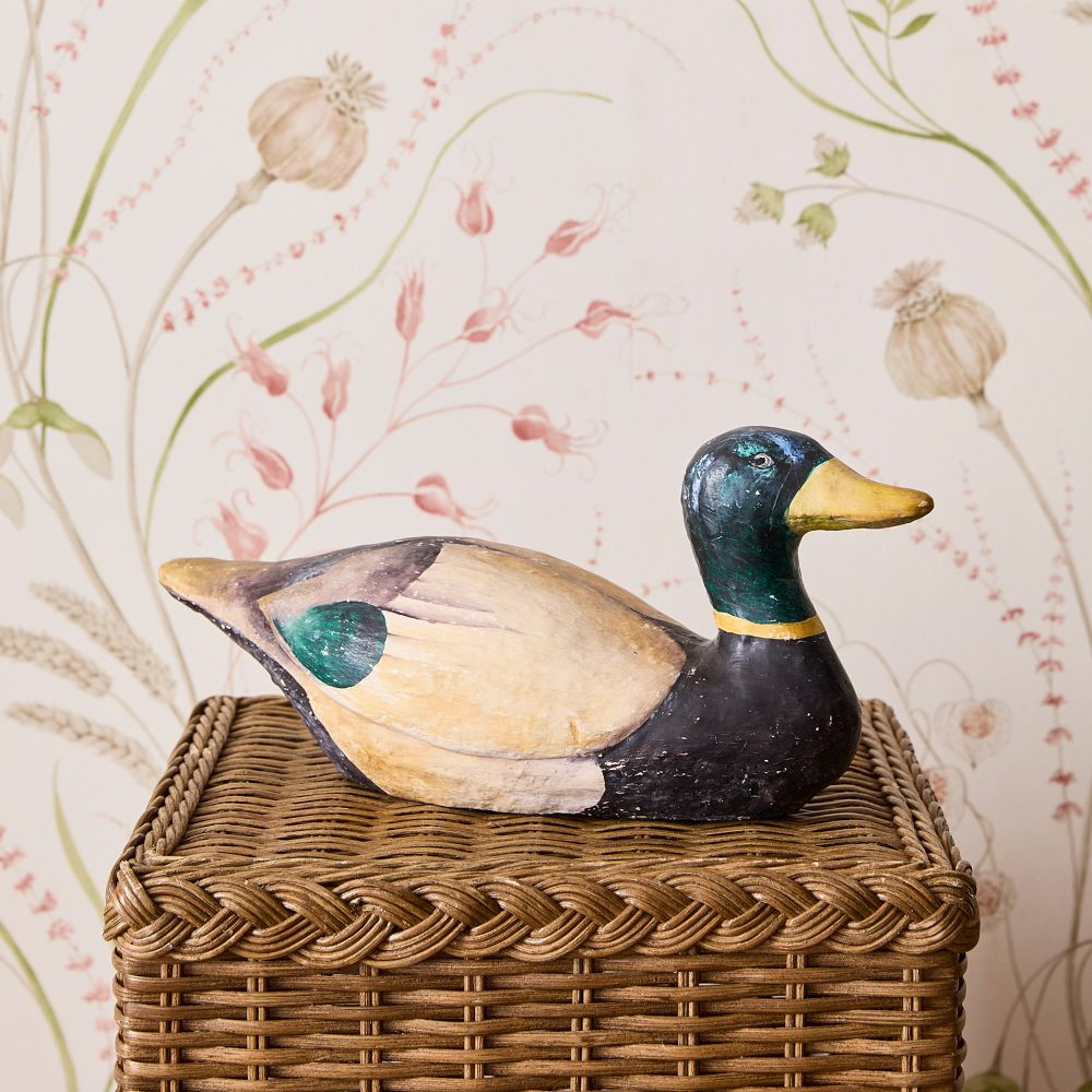 Huey the Terracotta Duck | GreenRow