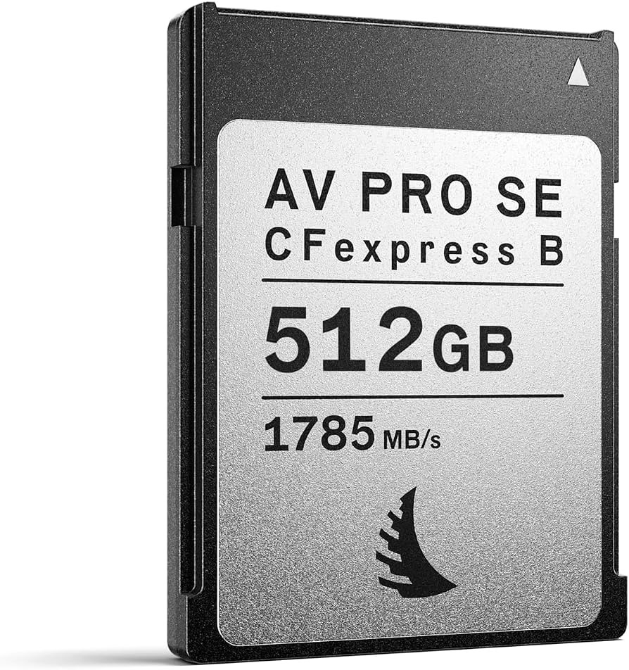 Angelbird - AV PRO CFexpress B SE - 512 GB - CFexpress Type B Memory Card - All-Rounder Capacity ... | Amazon (US)