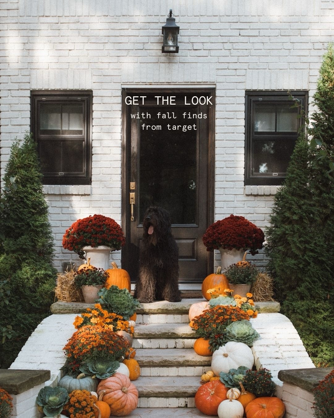 Where I’d style some of the new pieces from Target’s recent fall launch! Comment “FALL HOME” and I’ll send you the links for everything 🫶🏼 loving their art and furniture this drop!

#falltarget #falldecor #targetfinds

Target fall decor, fall home decor, Target home finds, cozy fall decorating, neutral fall styling