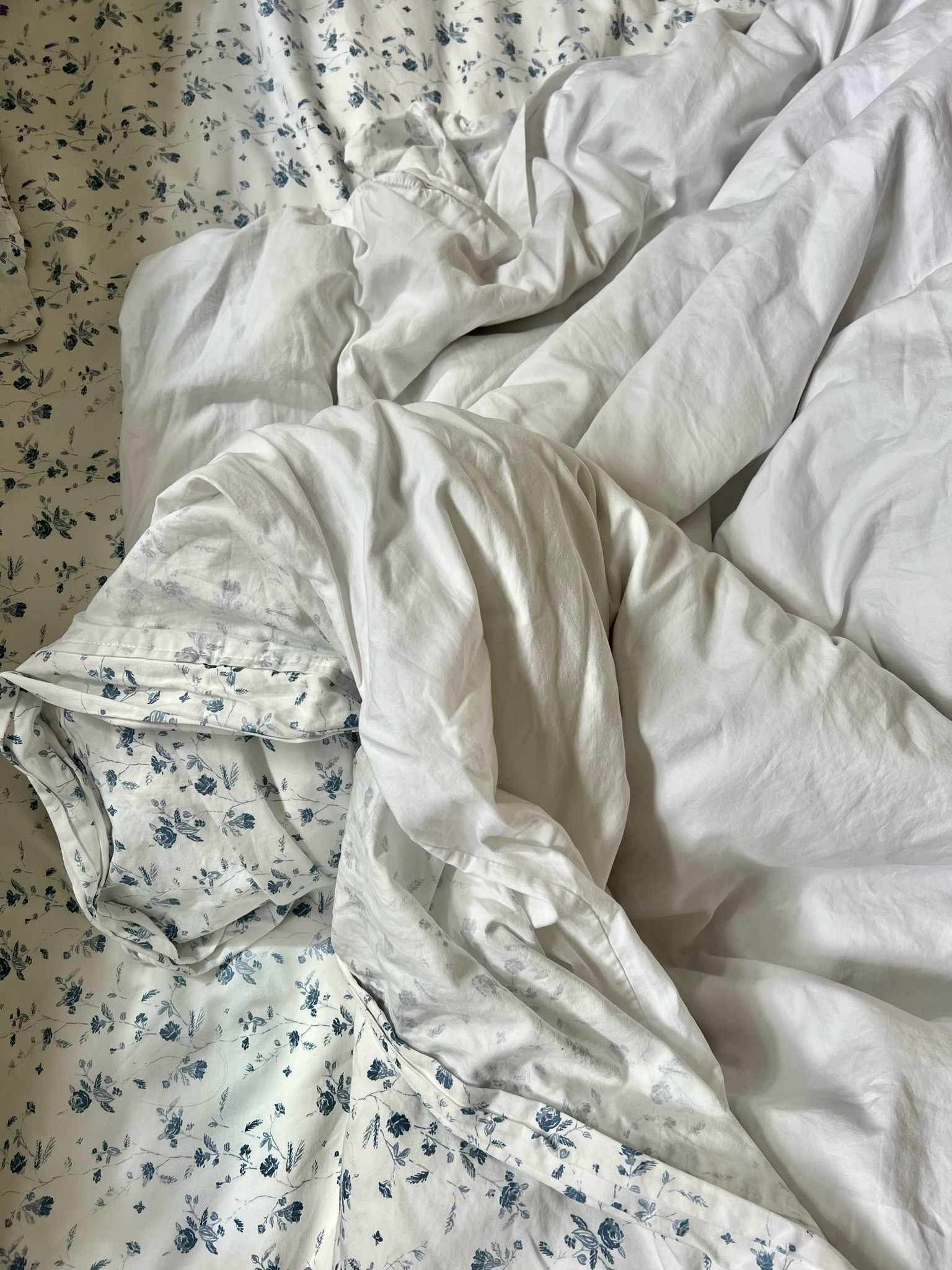 am now officially a coastal grandmother 🌊🌸 i have been searching for floral sheets for a while now but am a sheet snob and needed them to be soft! these were such an amazing find 🥹

#LTKFind #LTKSeasonal