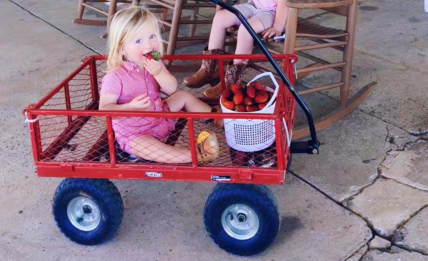 It just doesn’t get any sweeter 🥰 than a happy baby 👶🏼 in a wagon with a bucket 🪣 full of fresh strawberries!! 🍓 Happy FriYAY, y’all!! 🤭❤️ #cutenessoverload #strawberryseason #strawberrylover #cutestthingever #stickyhandshappyhearts