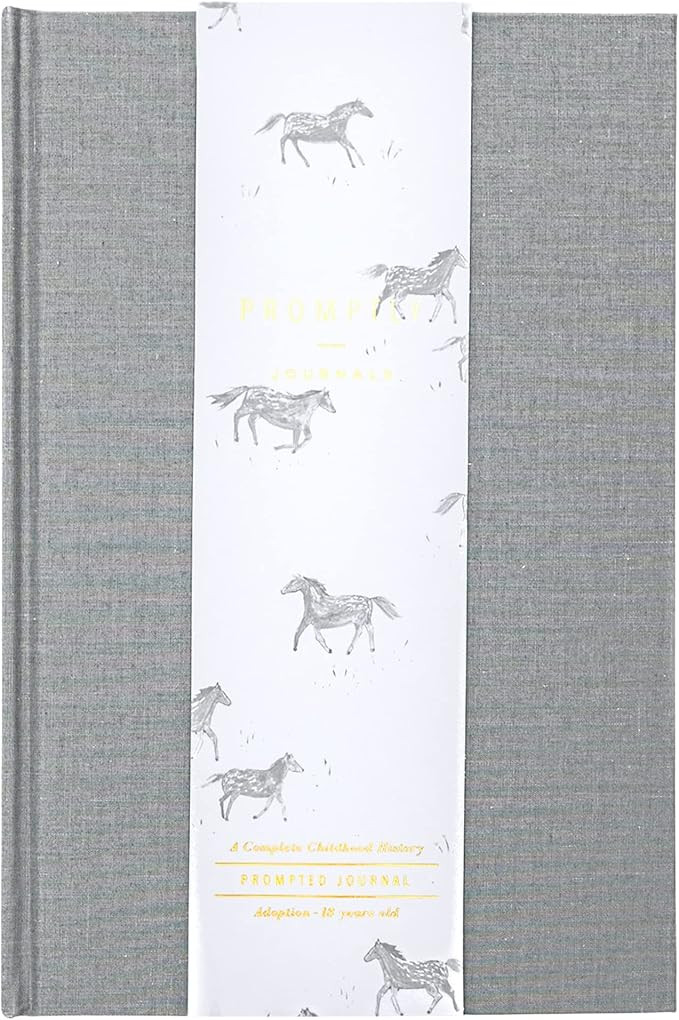 Promptly Journals, A Complete Childhood History: From Adoption to 18 Years Old (Grey, Linen) | Ad... | Amazon (US)