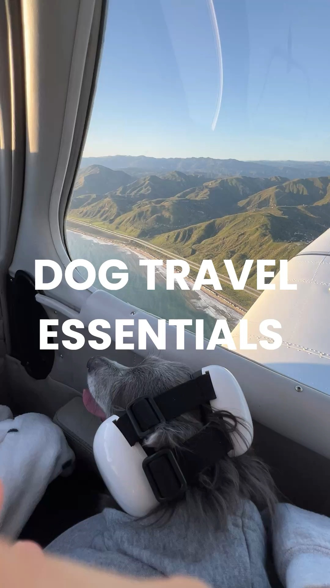 What we bring with us on a flight or when we are traveling with our pup. #dogfinds #dogmom #dogessentials #dogtravel