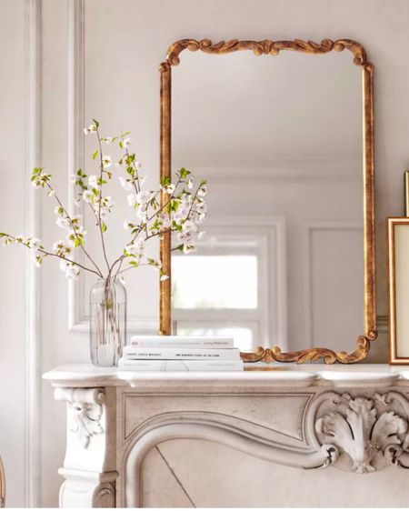 This vintage style mirror is stunning! Style your mantle or entryway with it ✨

Wayfair, wayfair finds, home finds, vintage mirror, good mirror, accent mirror, sale finds, abstract art, rug, neutral rug, ottoman, nightstand, bedroom furniture, sofa, coffee table, sconce, swivel chair, upholstered chair, bedroom, living room, dining room, entryway 

#LTKhome #LTKsalealert #LTKstyletip