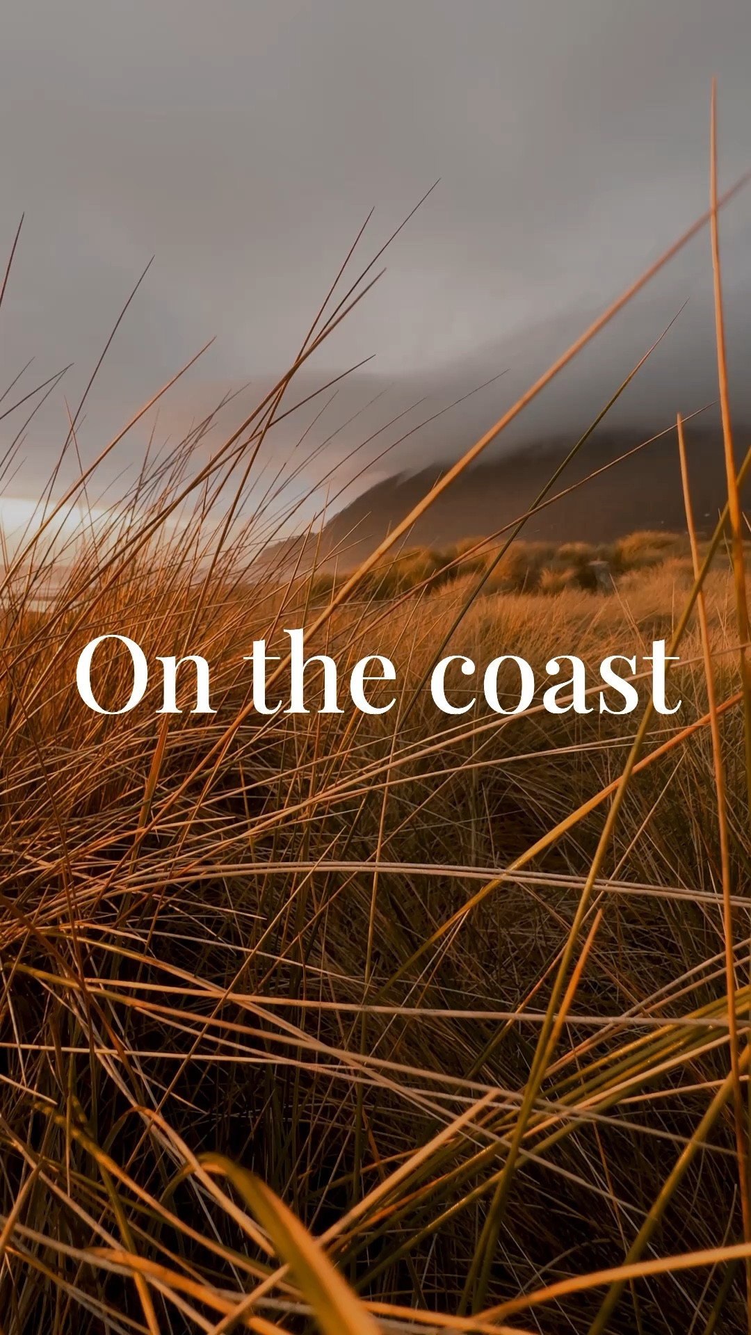 The PNW can be so unpredictable and I love feeling cozy and prepared. 
Perfect Fall outfit for Oregon and Washington must include a good rain coat and weatherproof boots. 
I love my Ilse Jacobsen coat but it’s too tight for me right now because I am pregnant so I got myself Fjallraven Vardag parka in laurel green (it has a cinched waist so I can adjust it as my baby belly grows ☺️). My favorite rain boots: Ilse Jacobsen Rub boots (a similar and a lot more affordable style is linked from Amazon). 
Wearing her today with Cos cashmere sweater, Gap sweatpants and Madewell carabiner bag. 

#LTKVideo #LTKSeasonal #LTKxMadewell