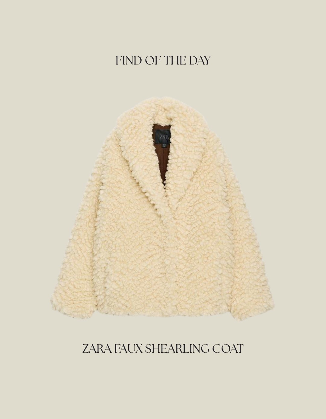 Zara shearling jacket - ordered a large 